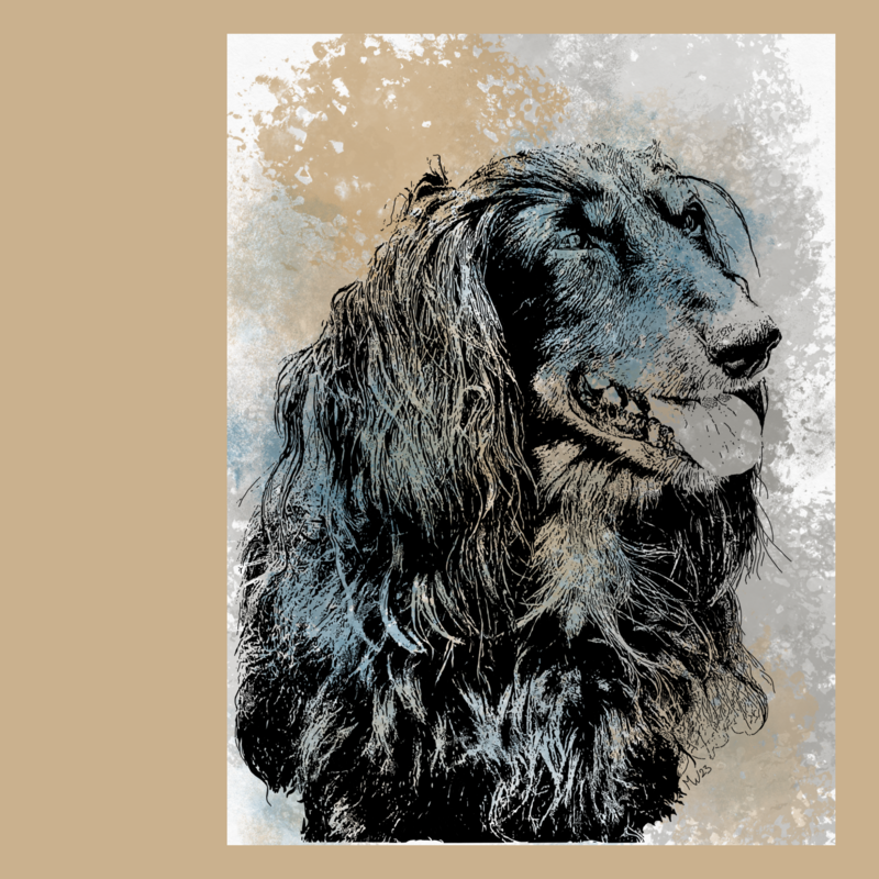 Hond